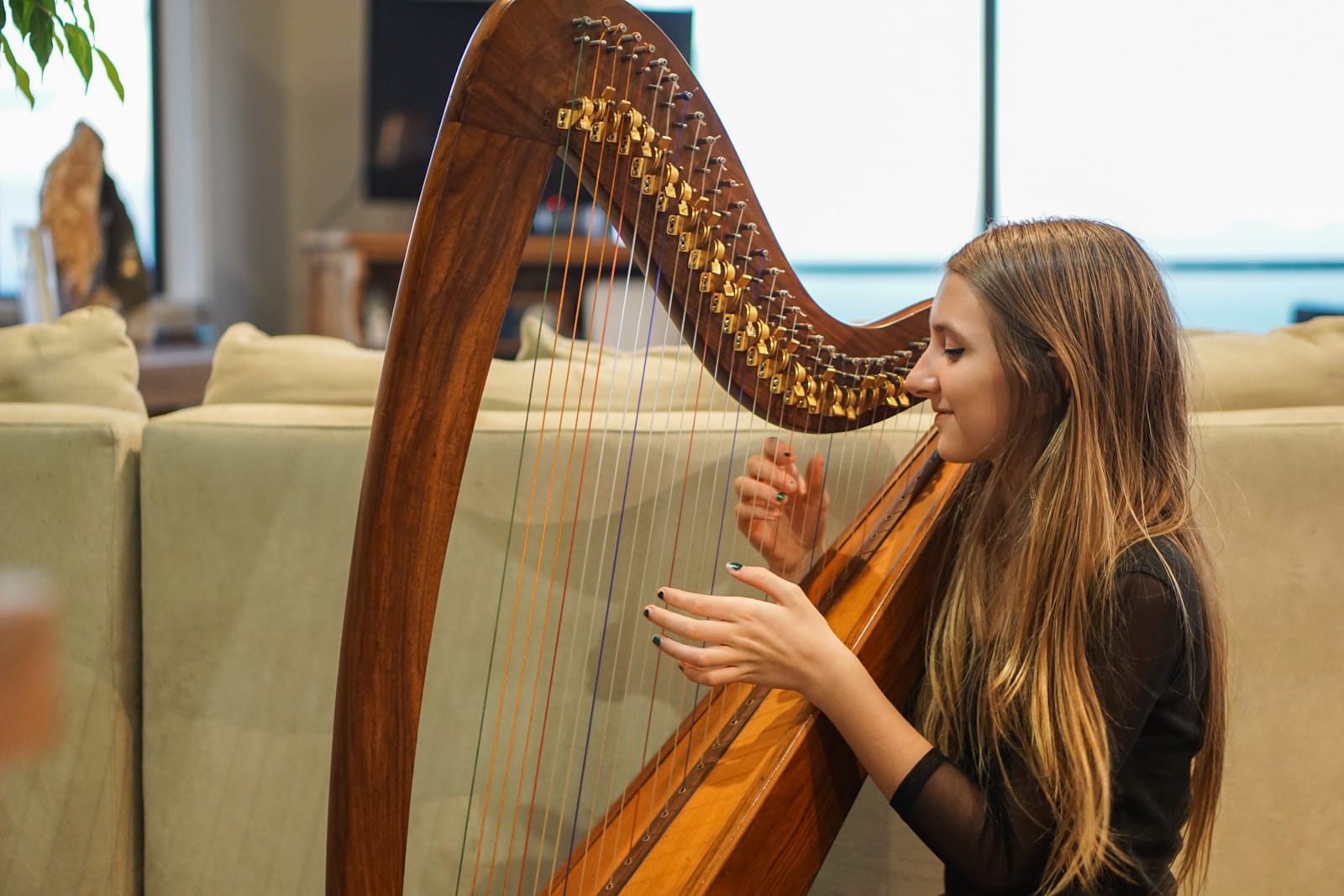 harp-09588