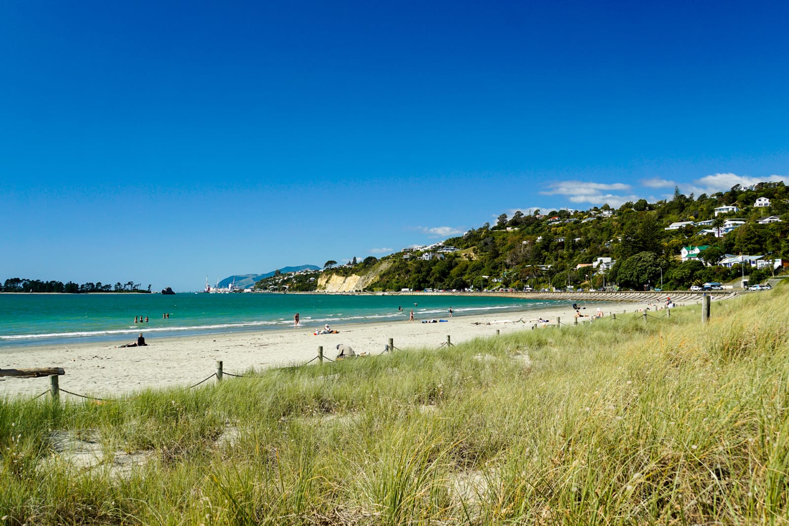 nelson-0663