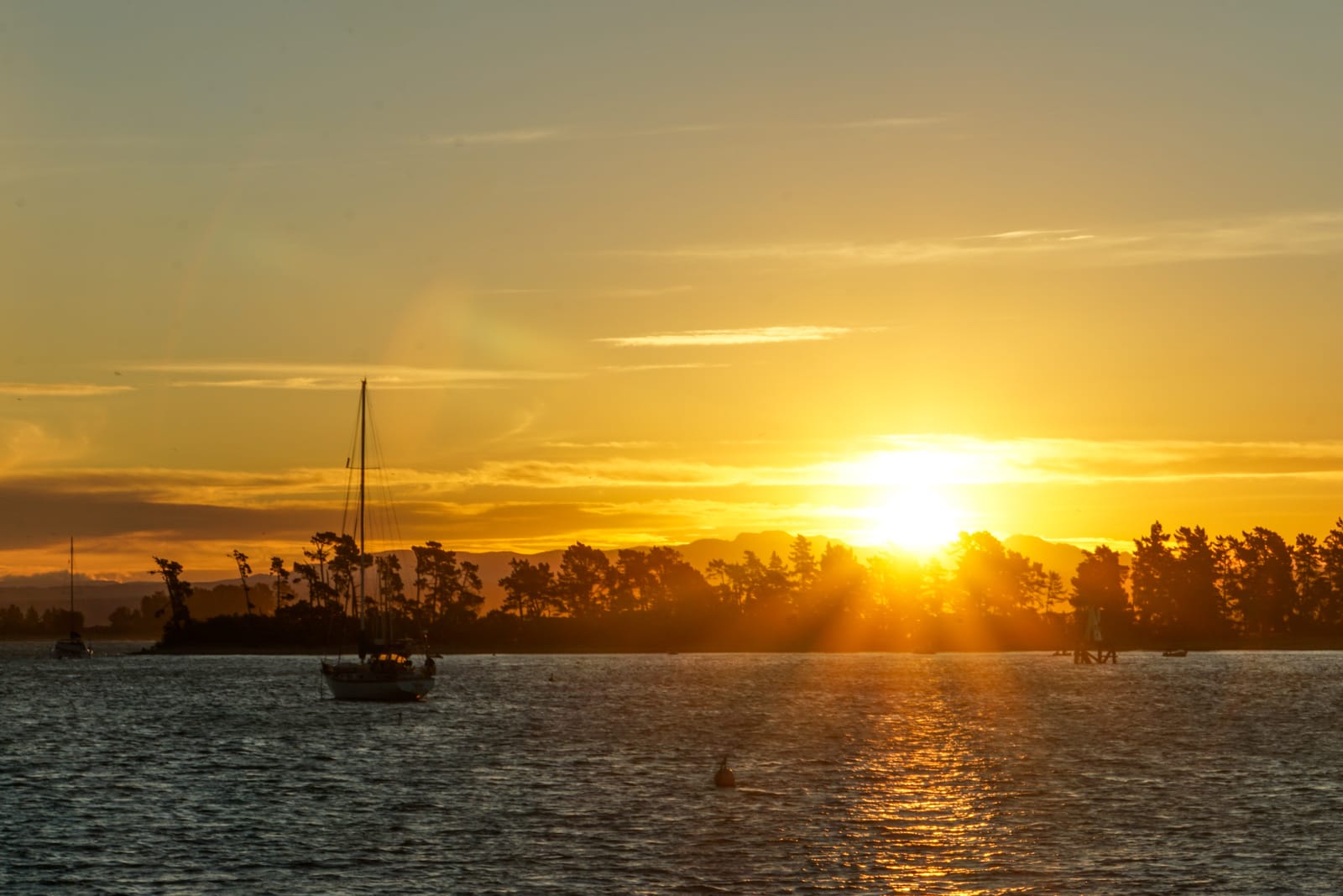 nelson-07942