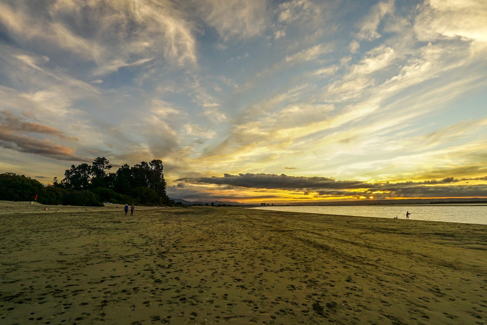 nelson-08309