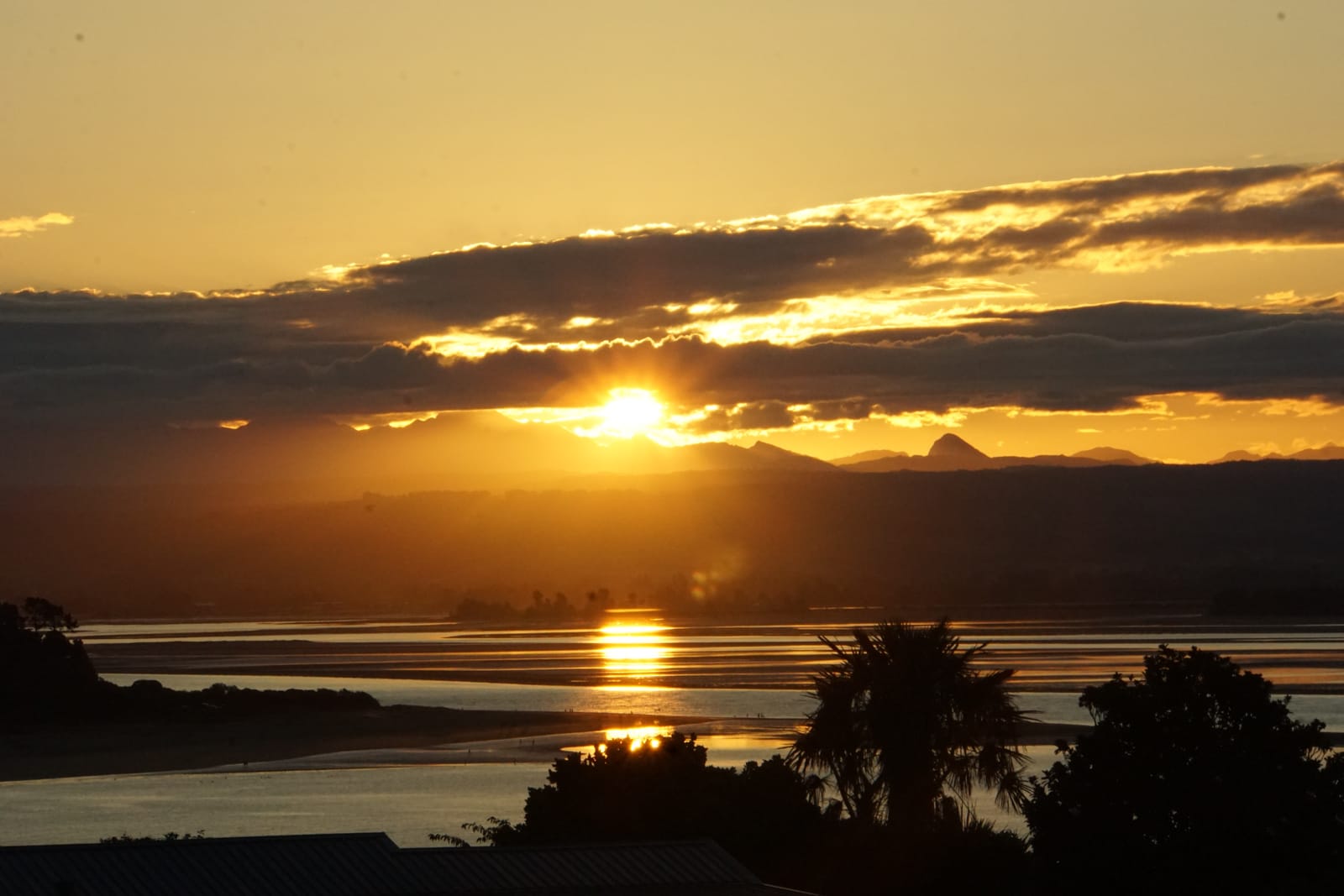 nelson-08383