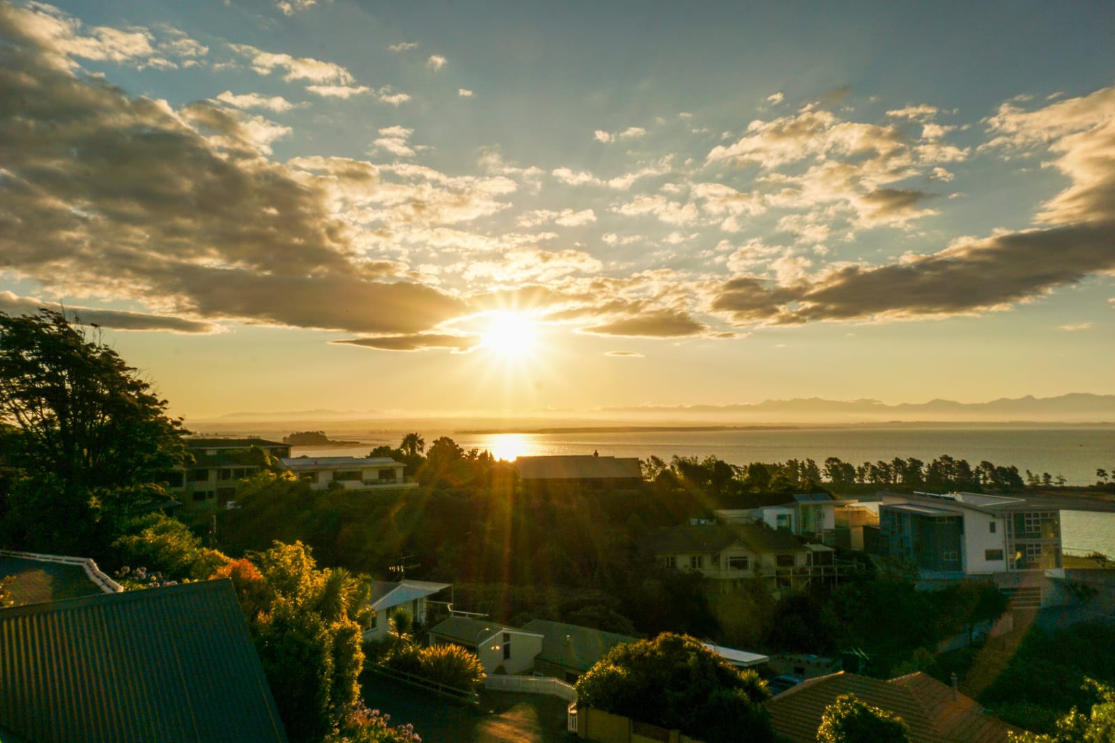 nelson-09448