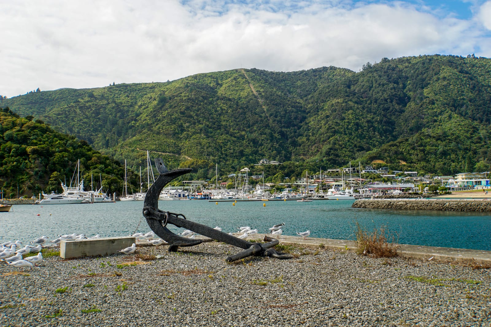 picton-0531