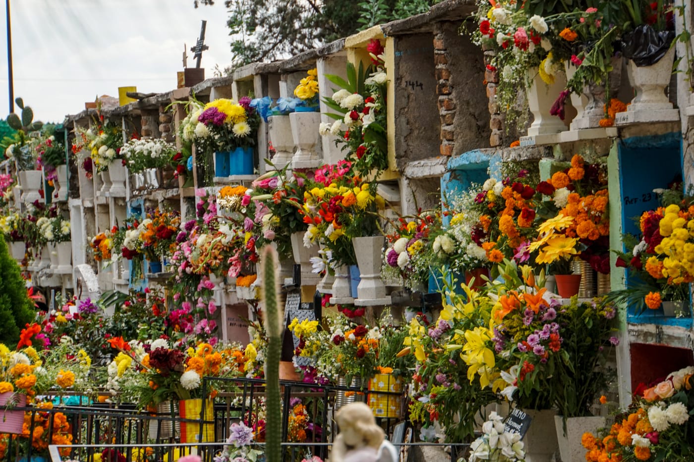 sanmiguel-02662