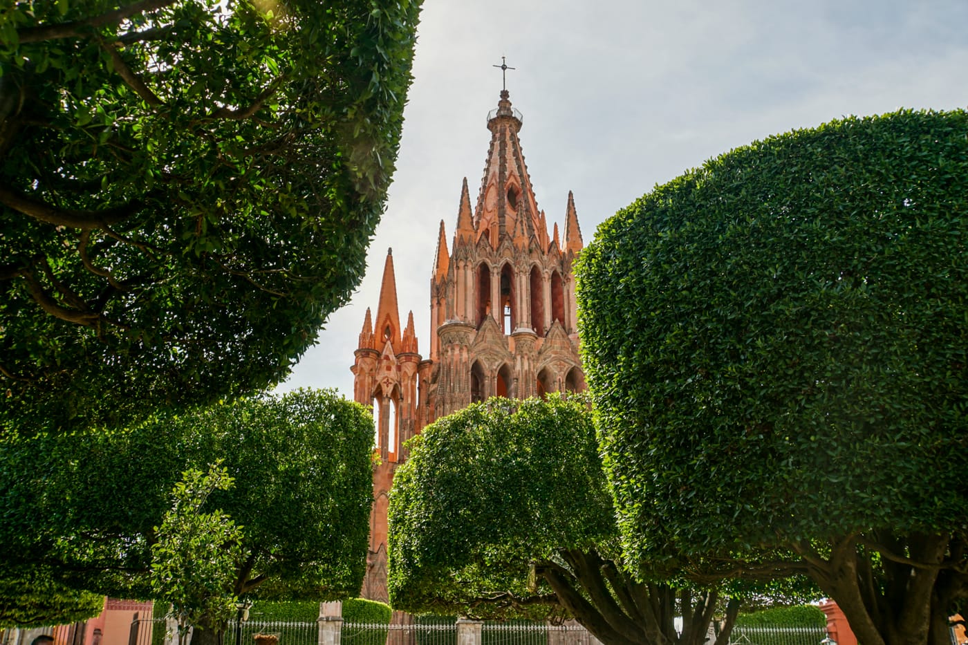 sanmiguel-04393