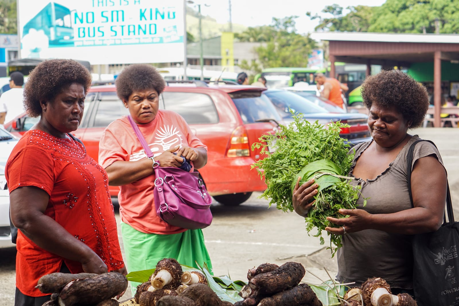 savusavu-07206