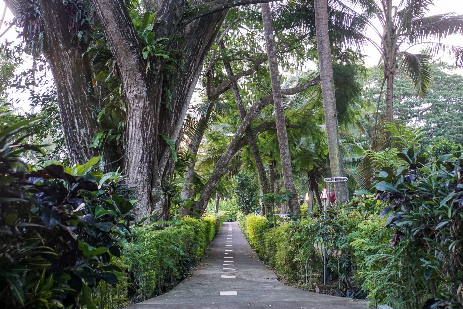 savusavu-07267