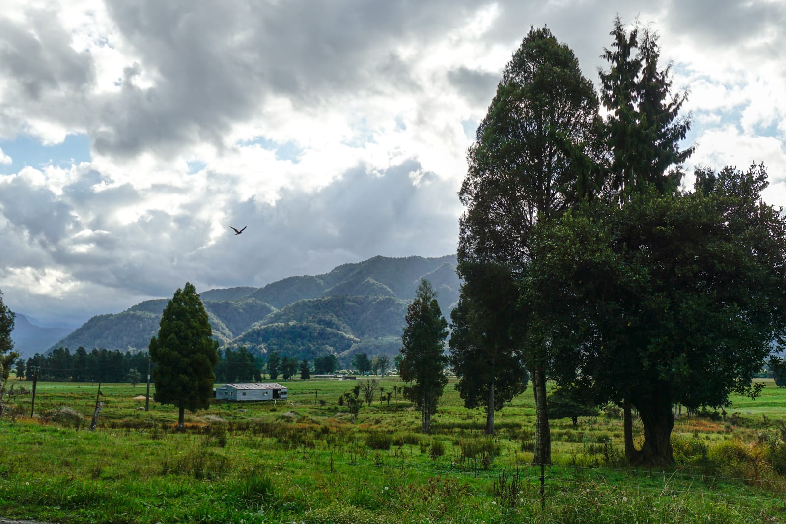 southisland-2854