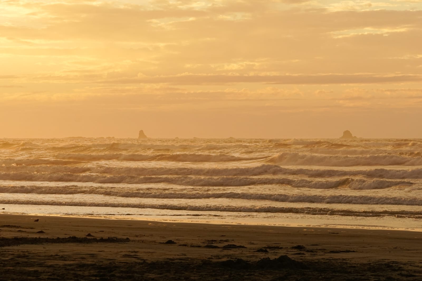 southisland-2948