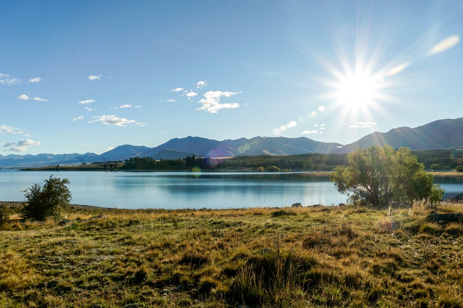 tekapo-5316