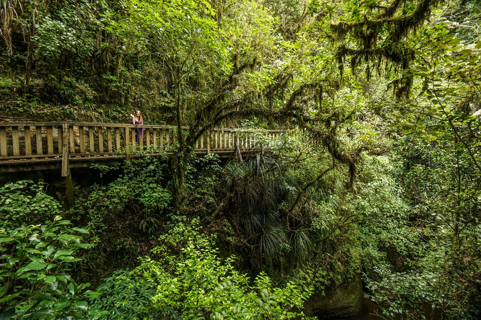 waitomo-08814