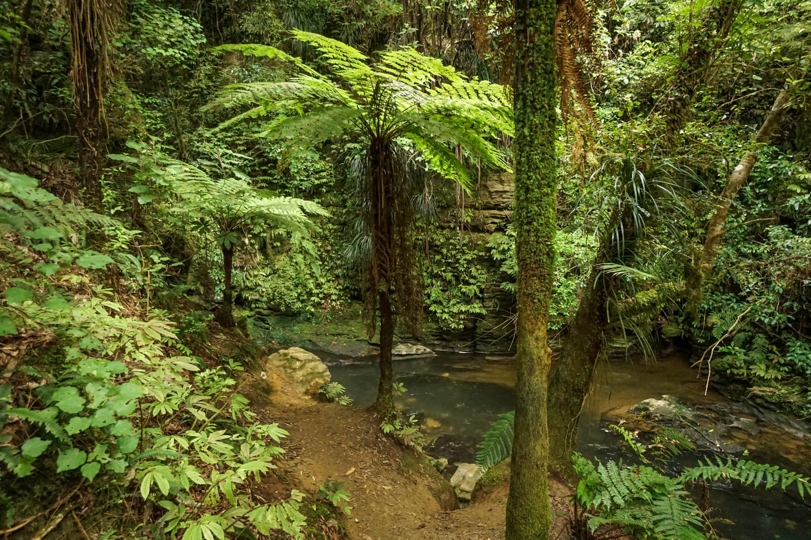 waitomo-08844