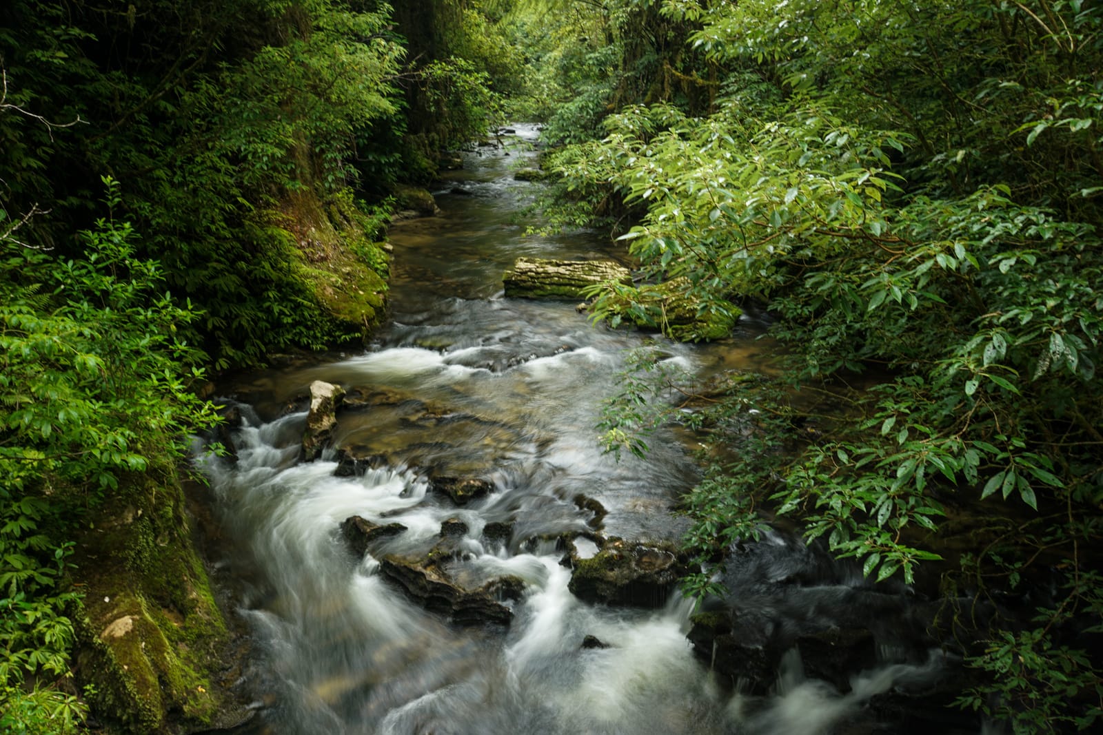 waitomo-08862