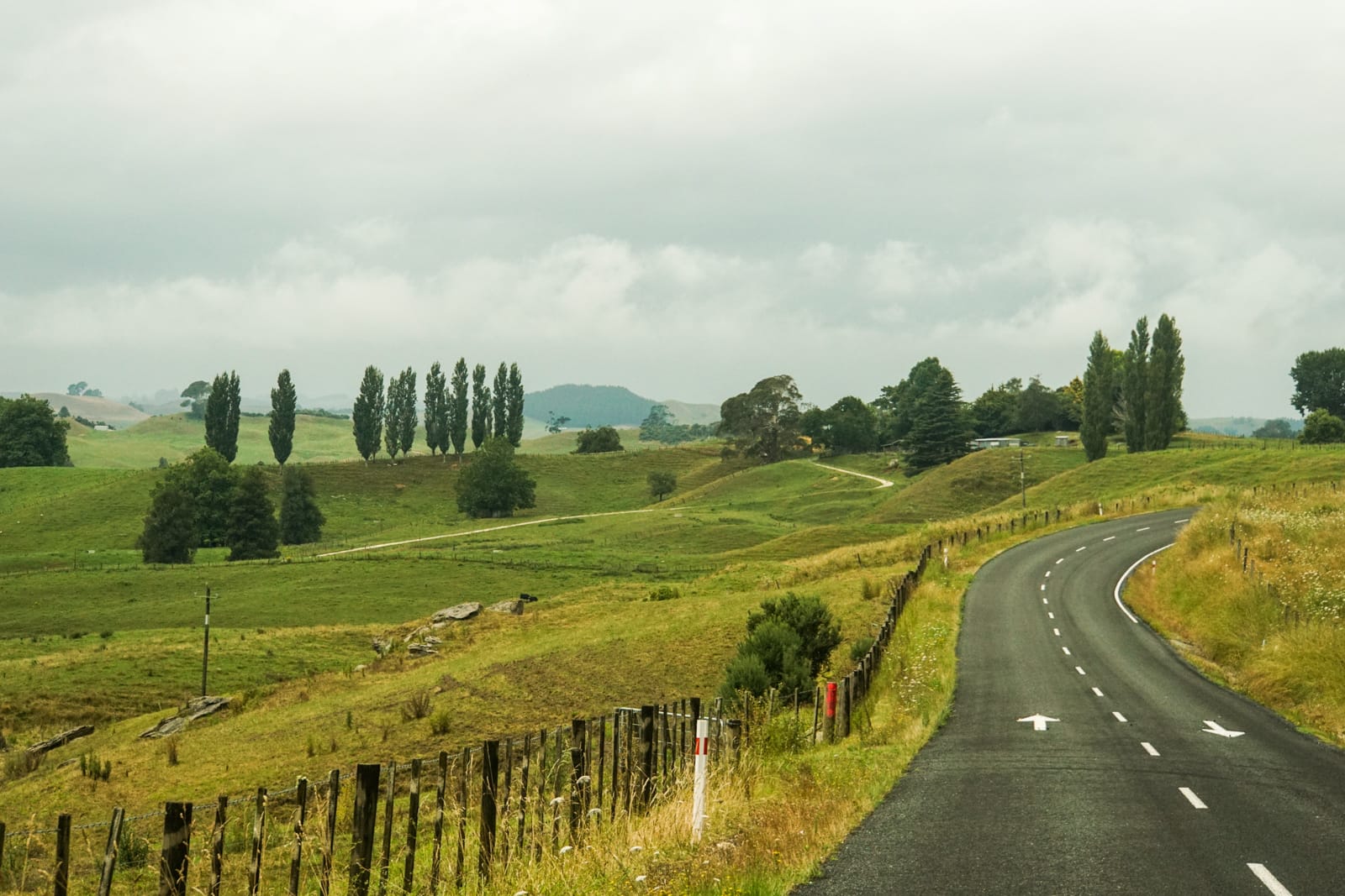 waitomo-08879