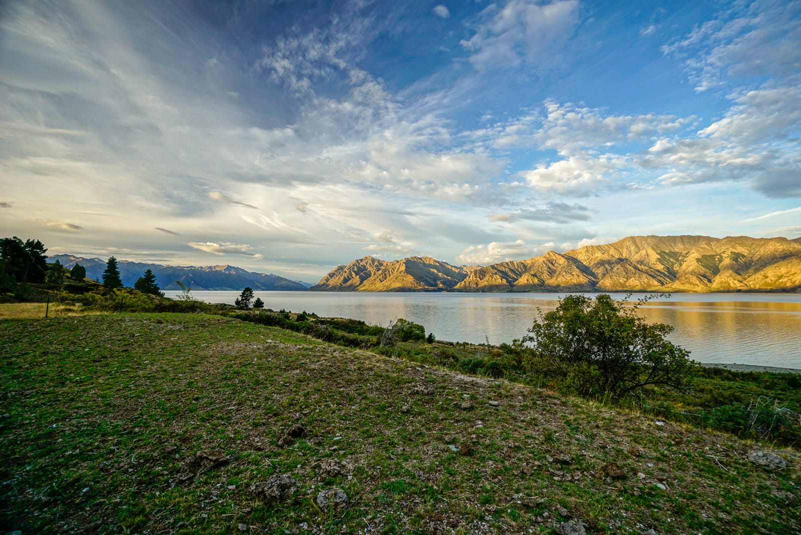 wanaka-4548