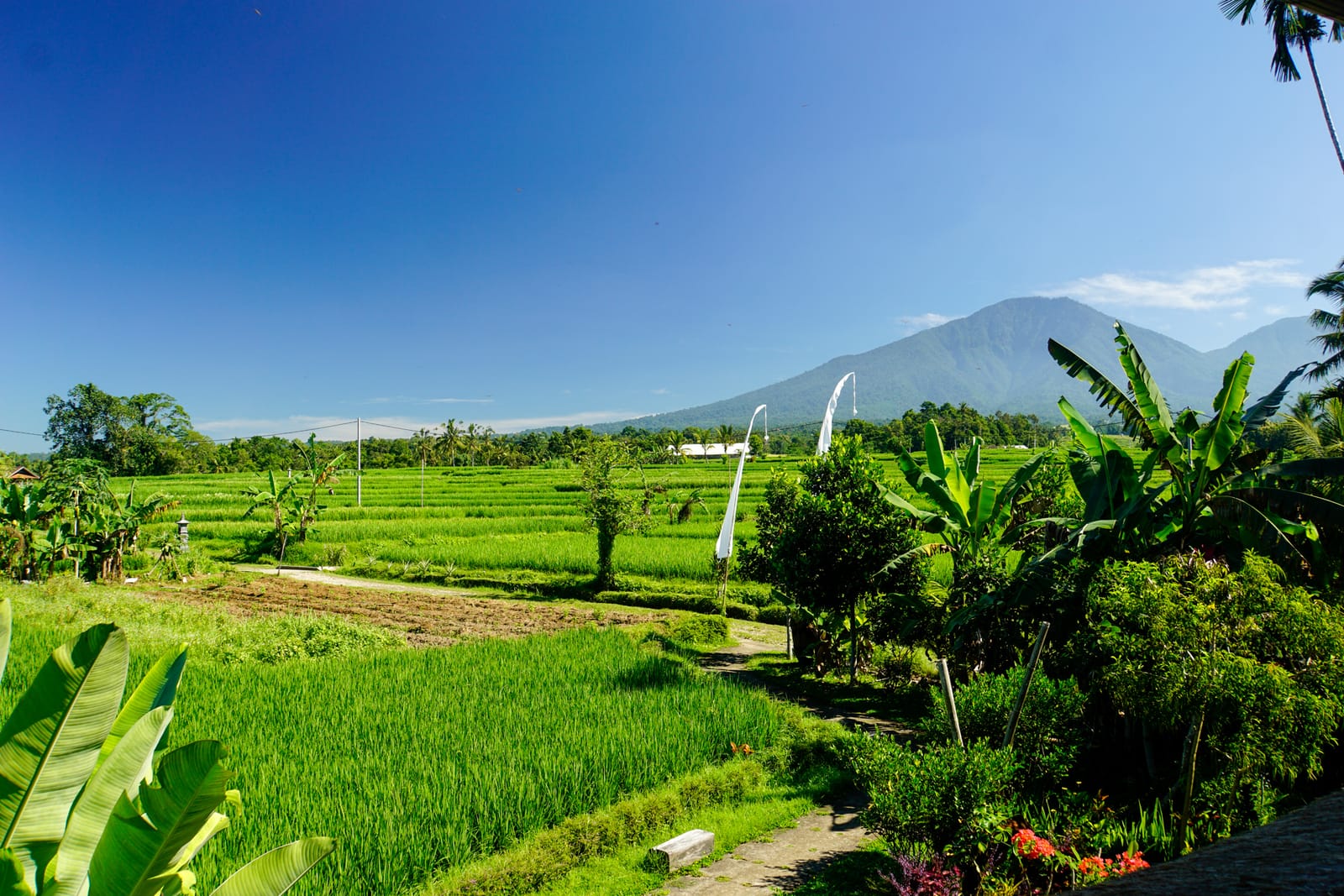 Bali retreat