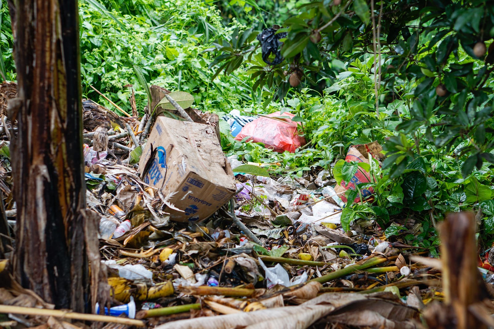 Bali trash