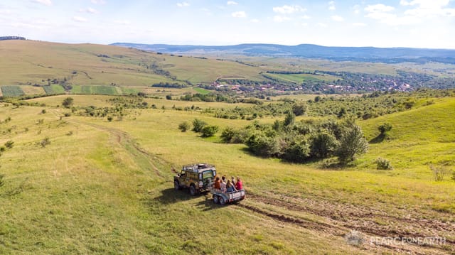 Exploring Transylvania