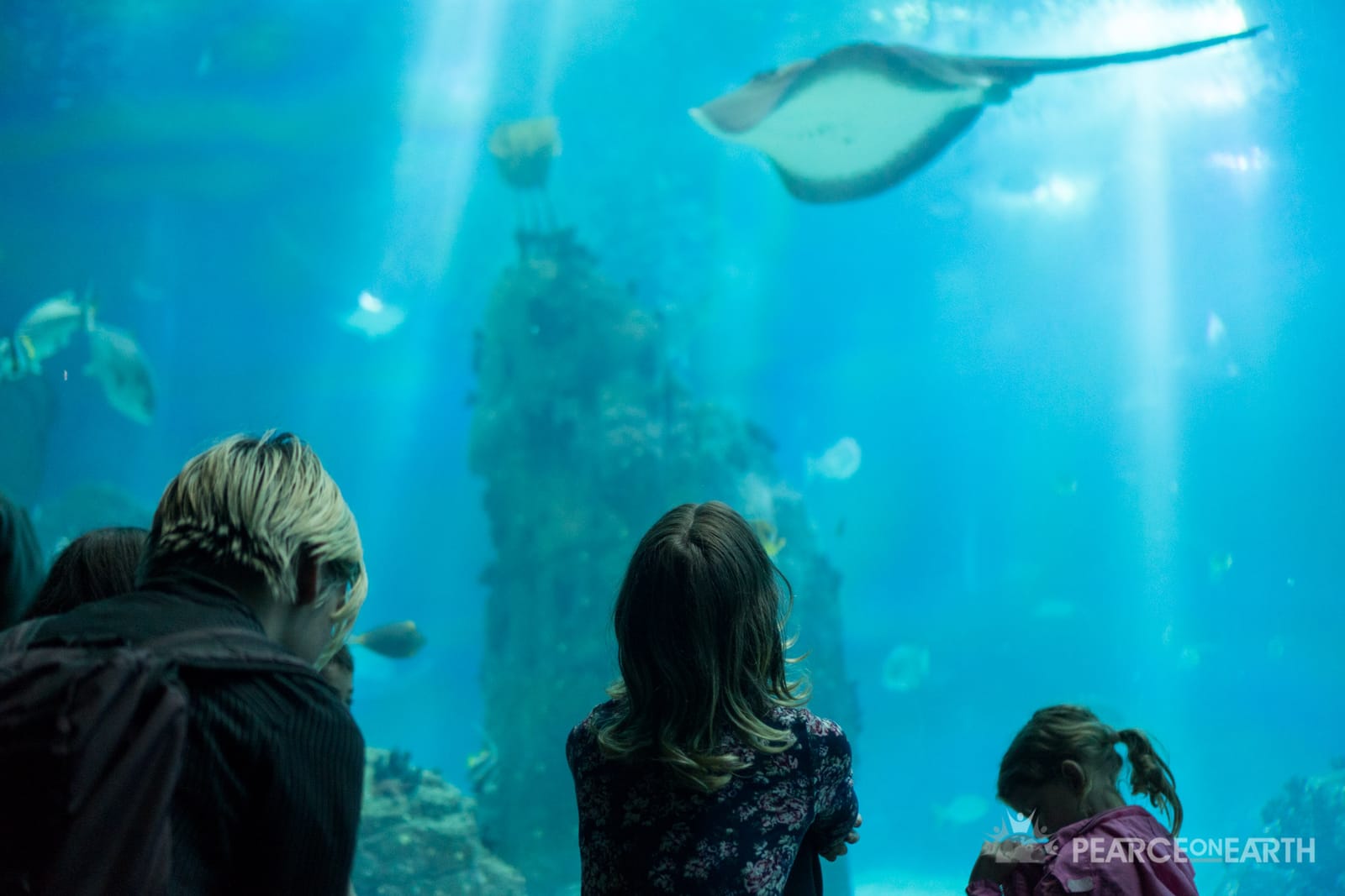 Aquarium