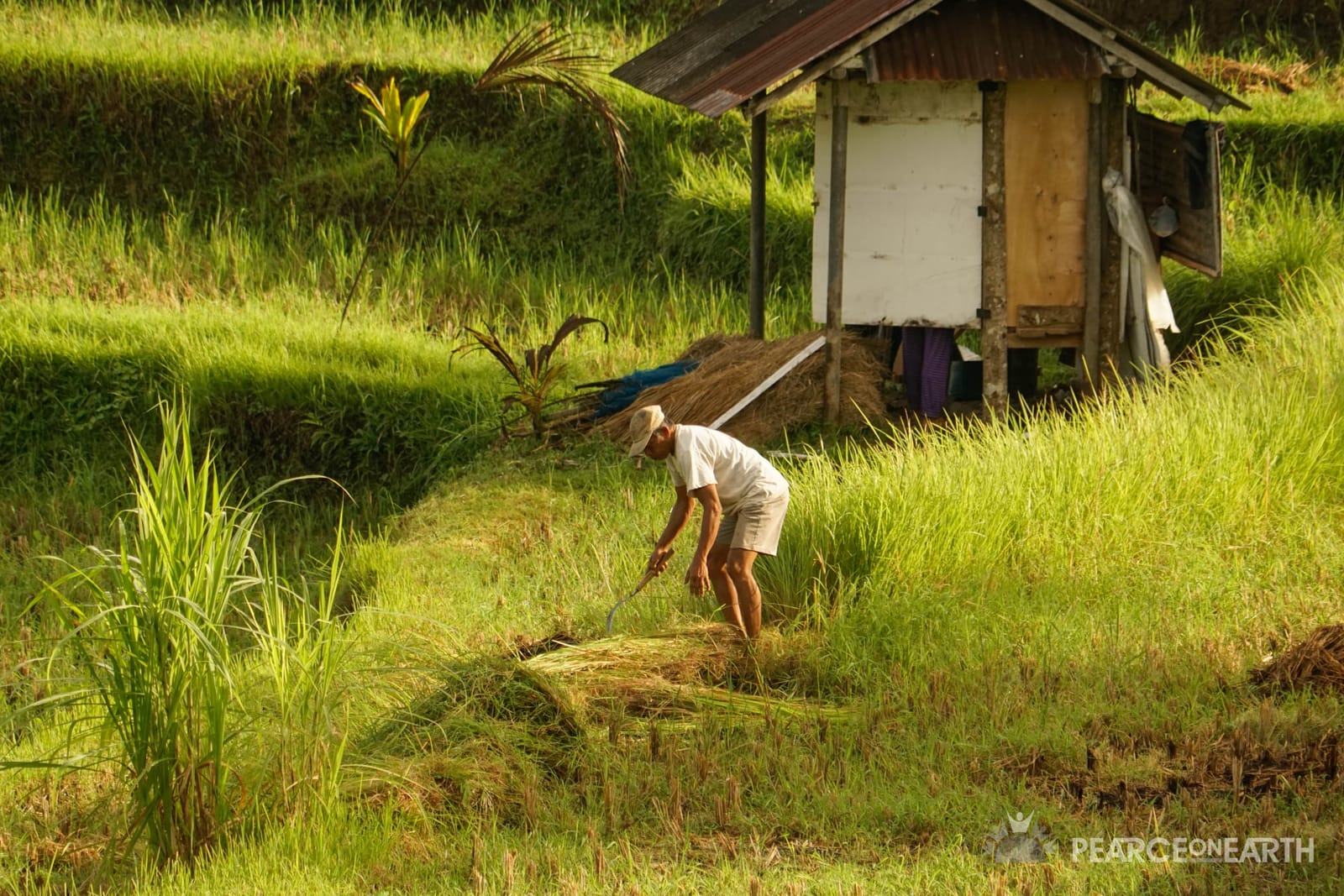 Bali