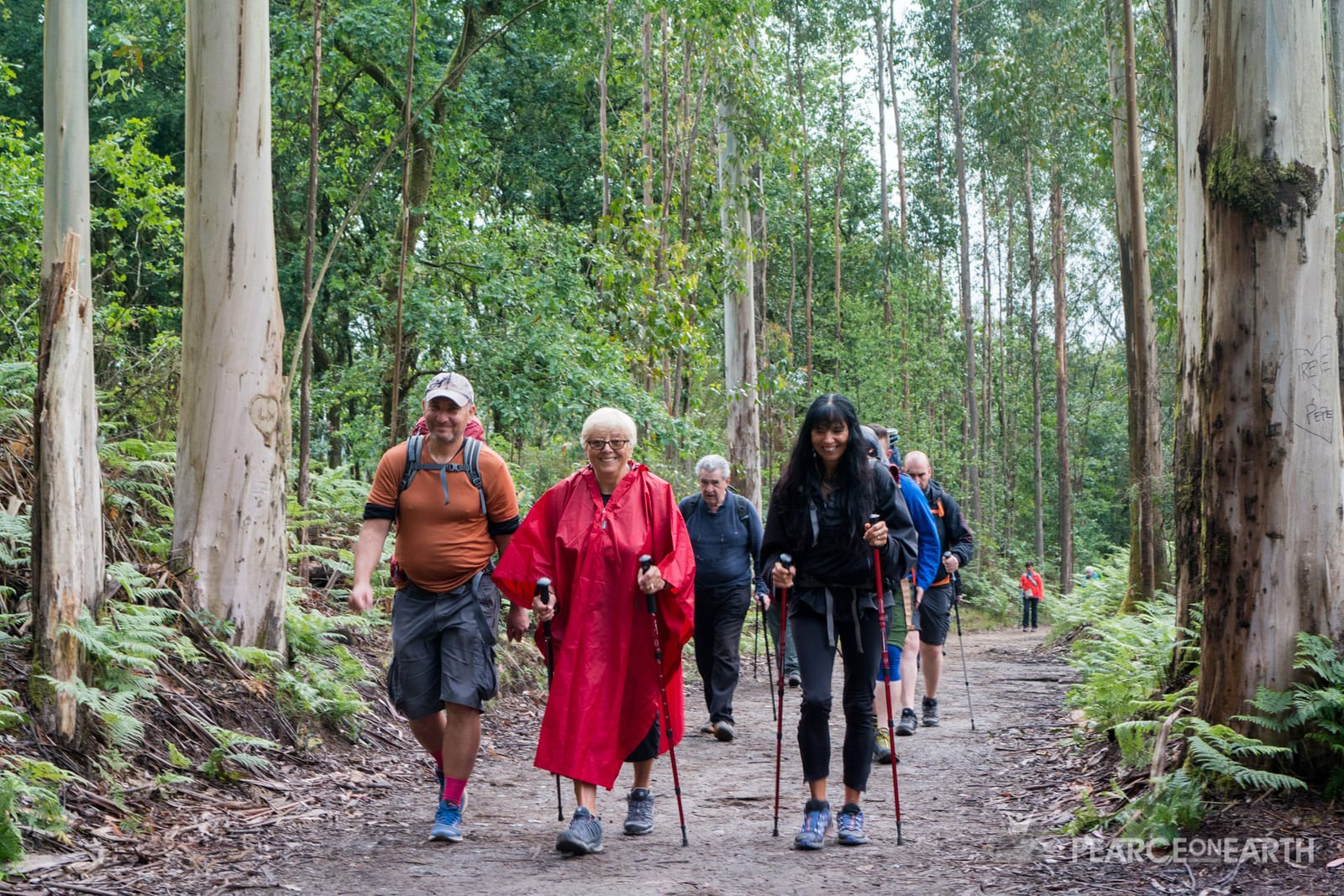 Camino
