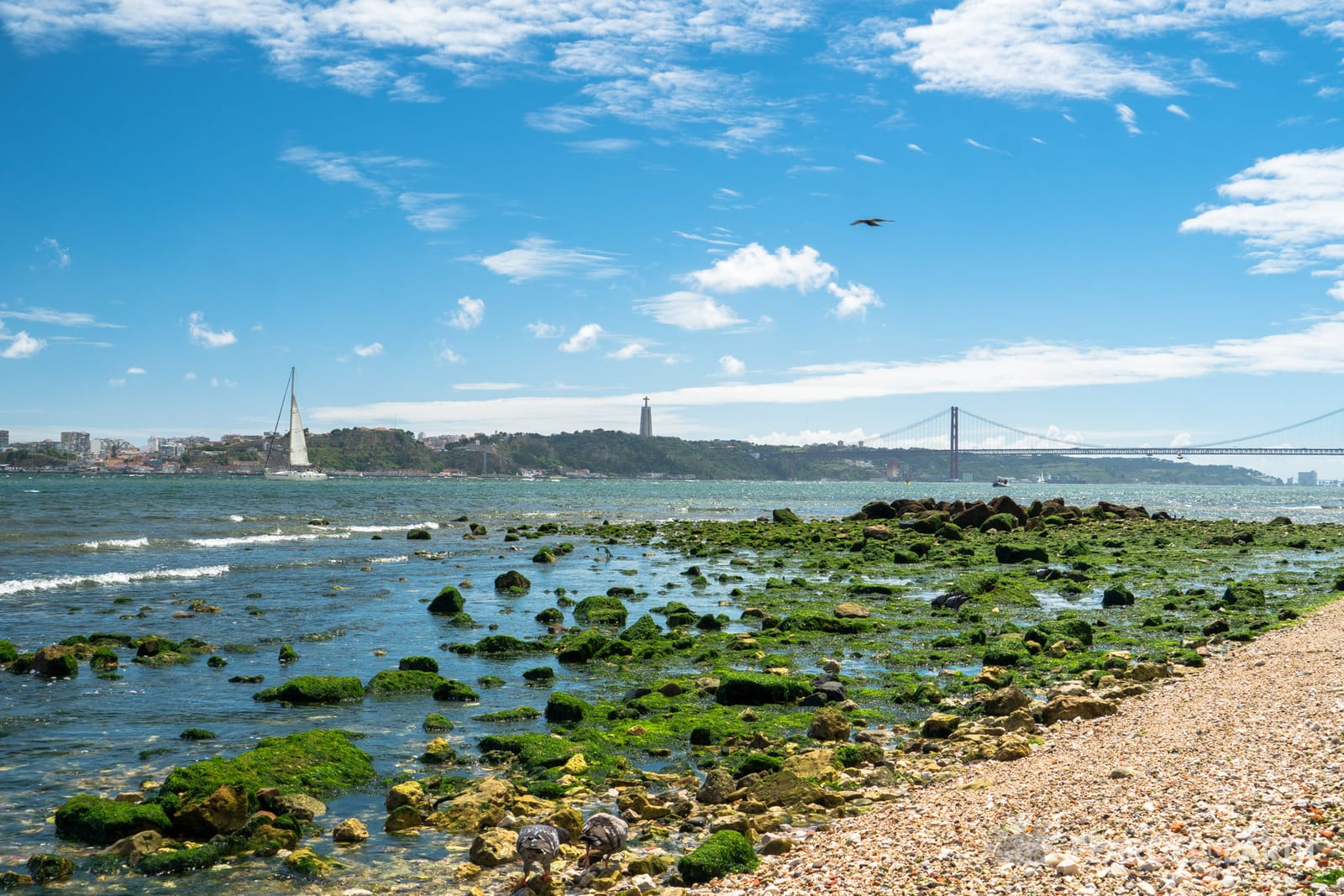Lisbon