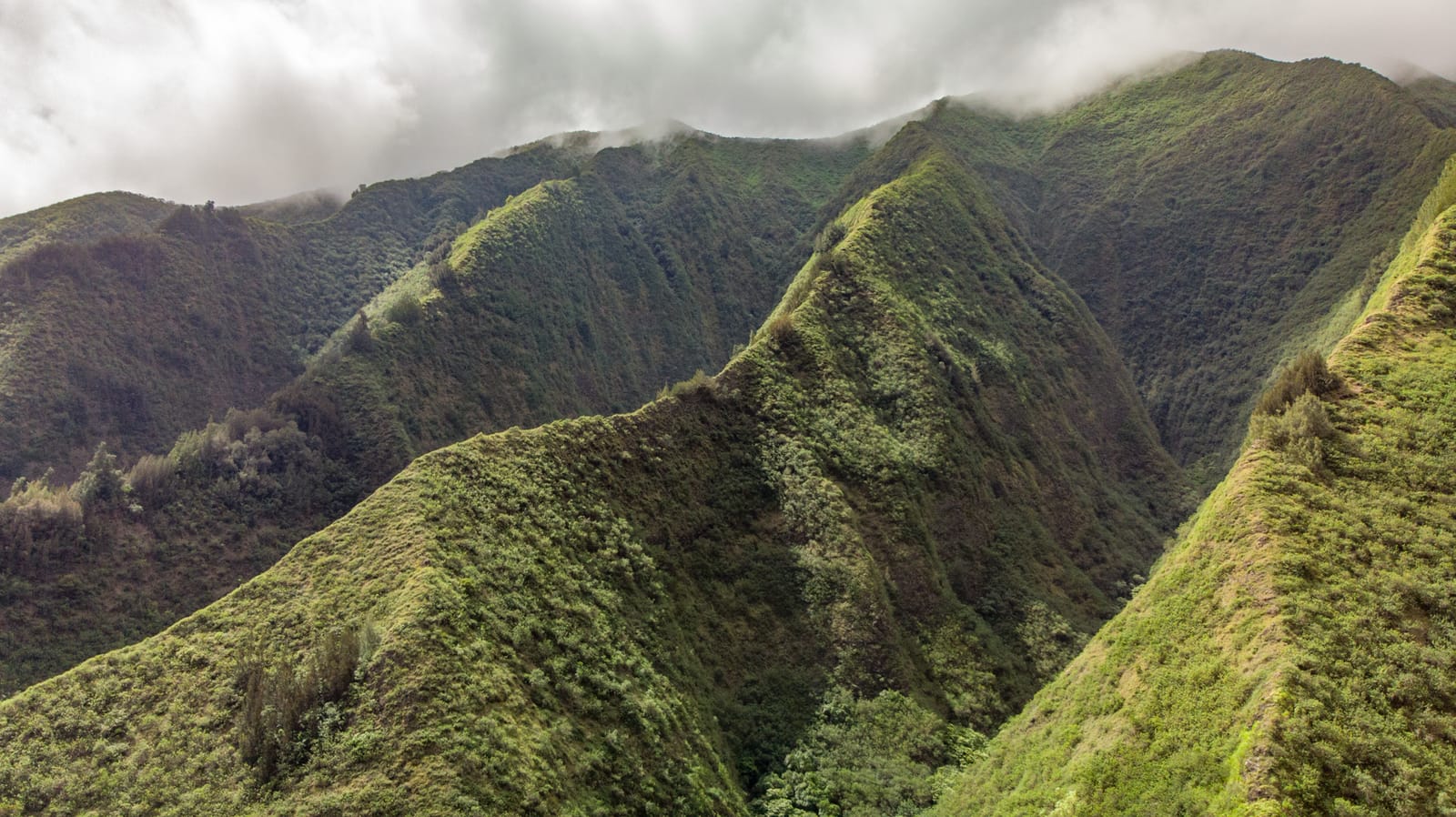 Maui