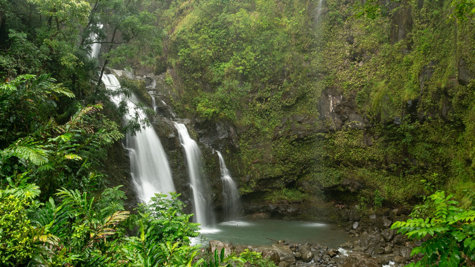 Maui