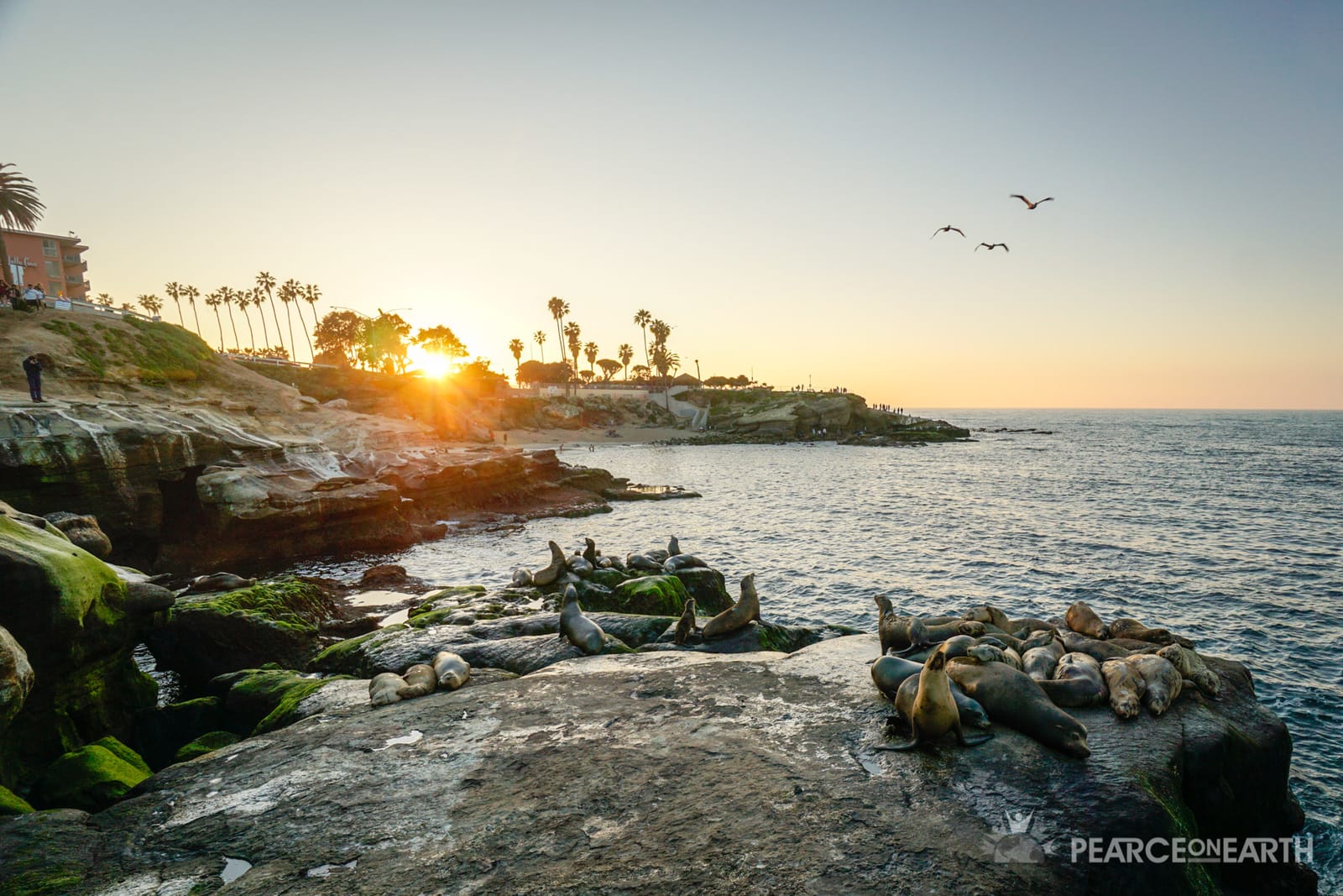 San diego