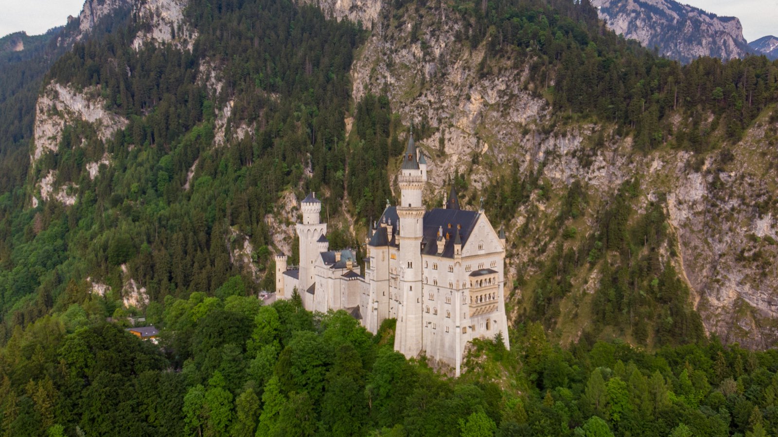 An aerial view of Neuschwanstein castle, its white towers rising from a steep, forested mountainside